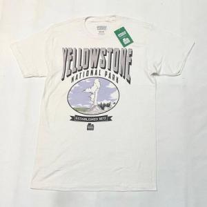 VARIOUS PRINTS / NATIONAL PARKS T-Shirt