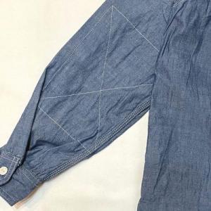 Engineered Garments / Work Shirt_Blue Chambay